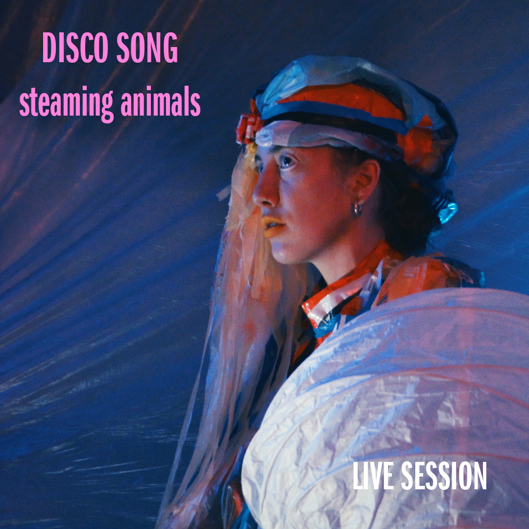 
<h3>DISCO SONG (Live Session)</h3>
 album cover